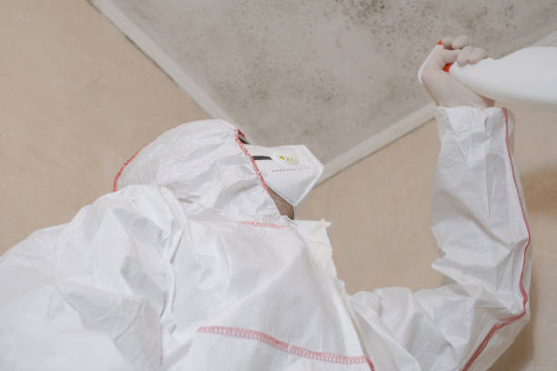 Best Mold Removal Specialists  in Crown Pot, IN