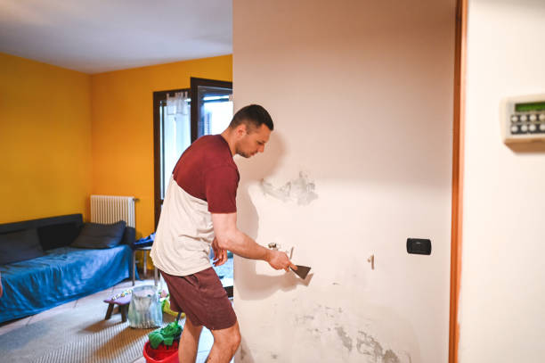 Best Mold Cleaning Services  in Crown Pot, IN